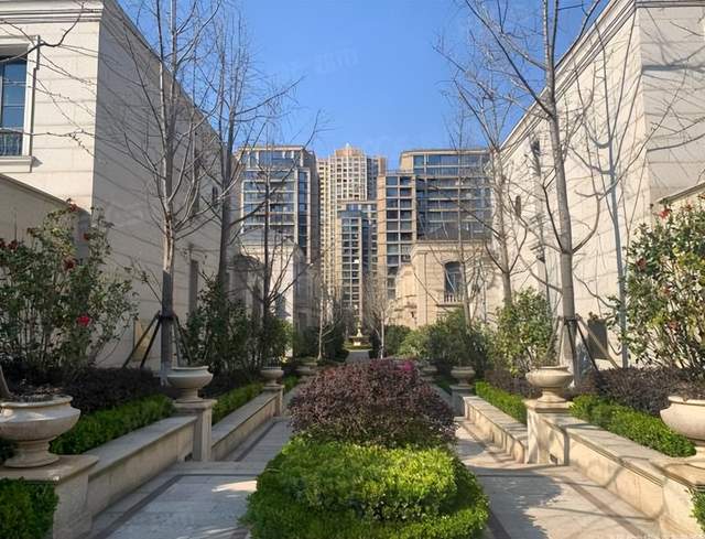 湖州绿城御园庭院设计中可以采用哪些类型的树木?