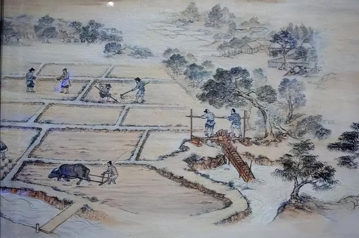 600年前明朝大移民812个姓氏从洪洞大槐树下出发他们到了哪里