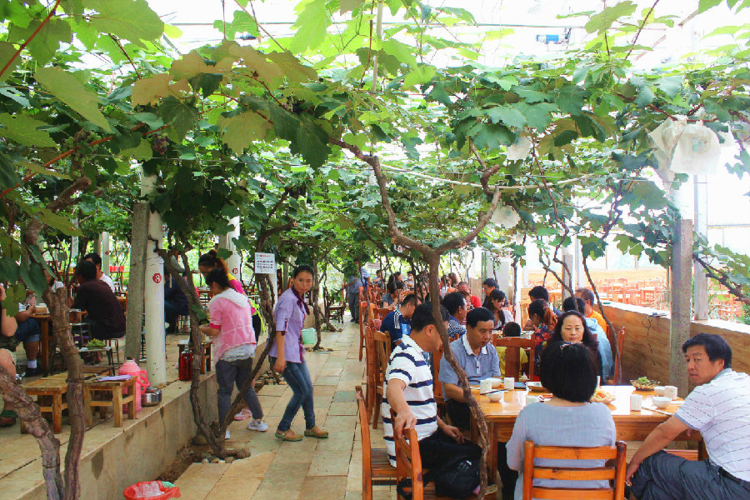 从一座难求到大面积倒闭风靡全国的农家乐为何没人去了