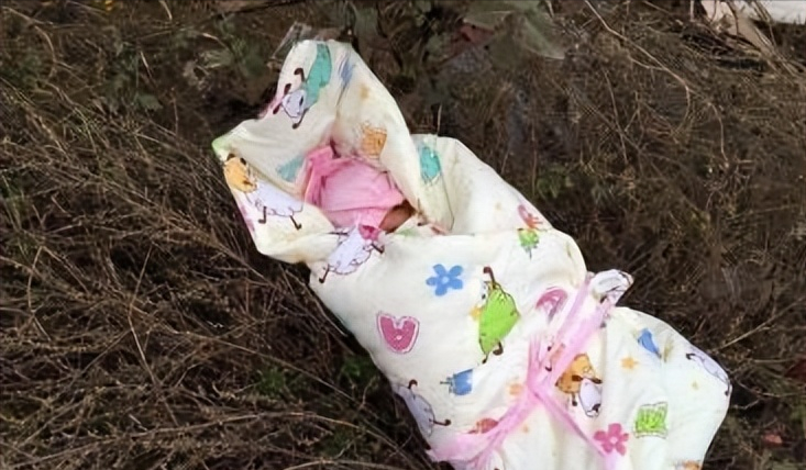 06年湖南女婴被美国夫妇收养要求每月花120万为其买下一座岛