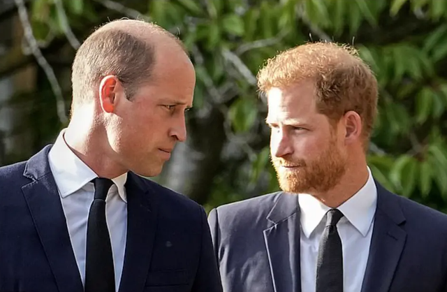 戴安娜遗产奖:威廉大方提及凯特王妃,哈里梅根花样蹭流量被鄙视