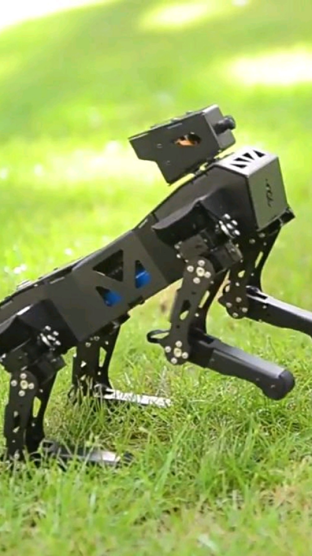 人形机器人,机械狗,智能机械狗,四仿生机器狗,corgi机器狗