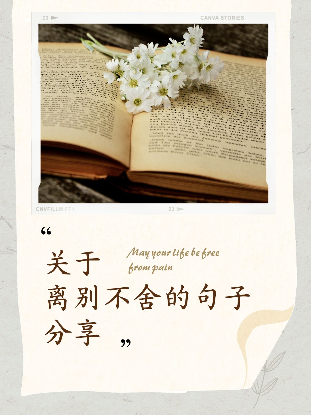 离别不舍的唯美句子