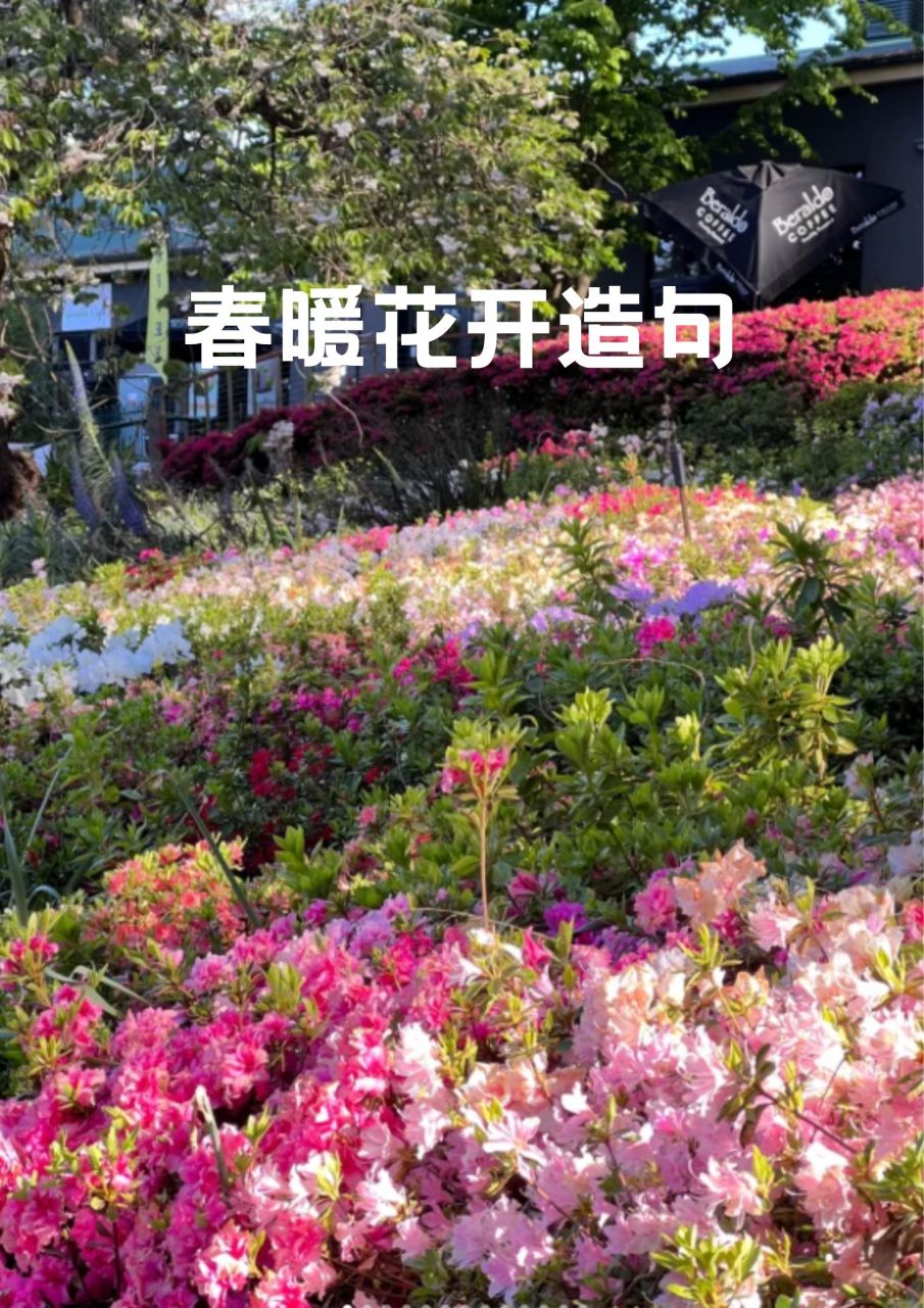 春暖花开造句  94 春天来临,大地回暖,百花争艳,正是赏花的好时节.