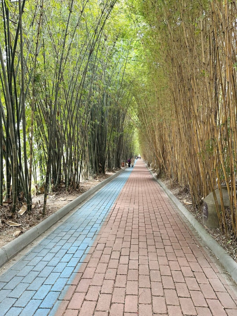 成都周边一日游  大邑安仁古镇,刘氏庄园与建川博物馆:一场时光之旅