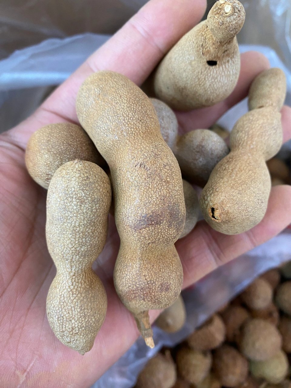91而且,你们知道吗?酸甜角不仅好吃,还有很多好处呢!