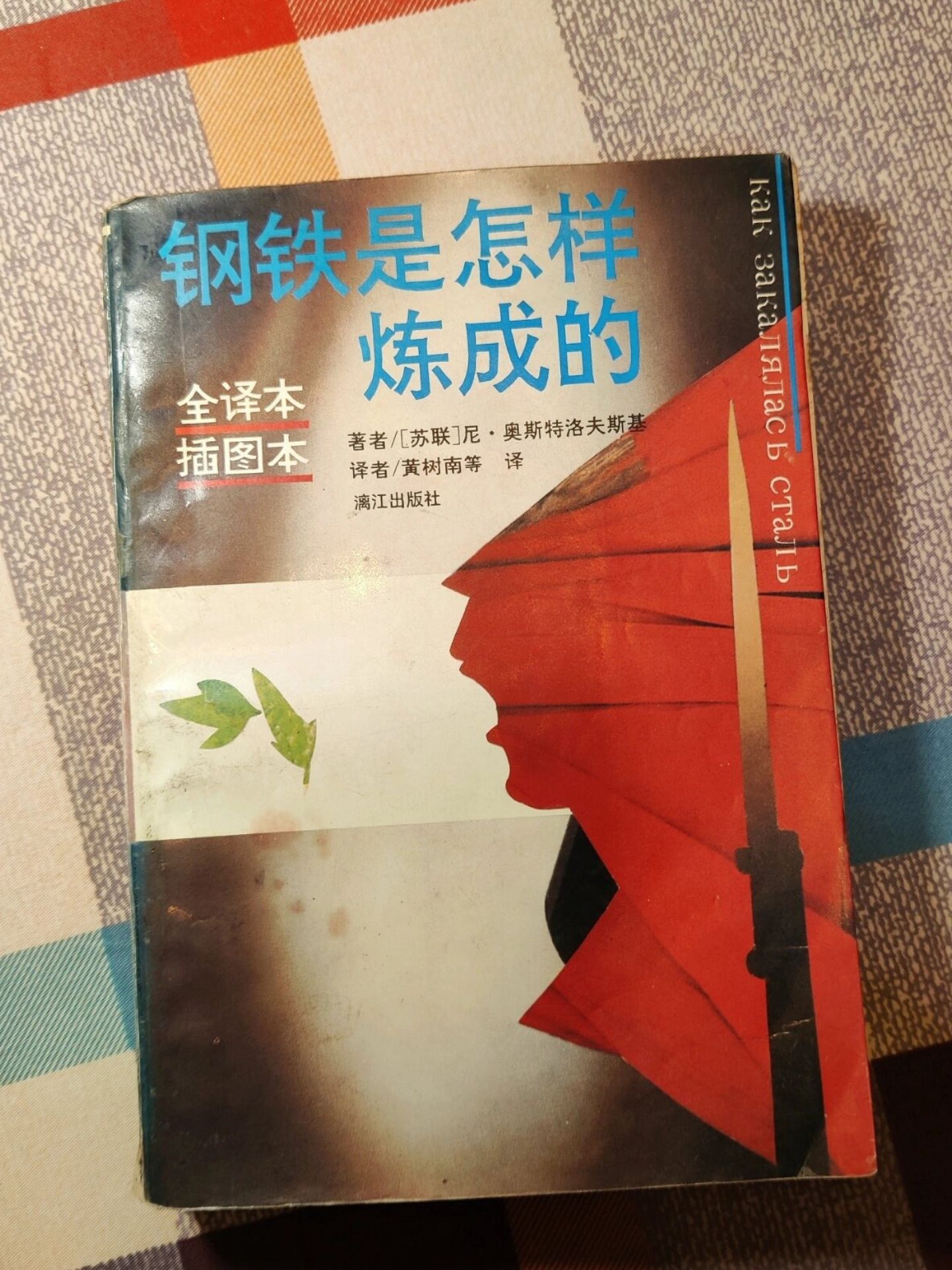 钢铁是怎样炼成的书面图片