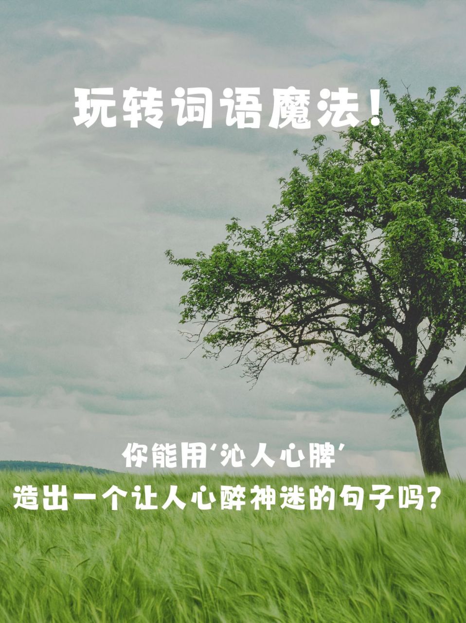 沁人心脾造句子 在这个文字的世界里,每一个词语都蕴含着无尽的魔力.