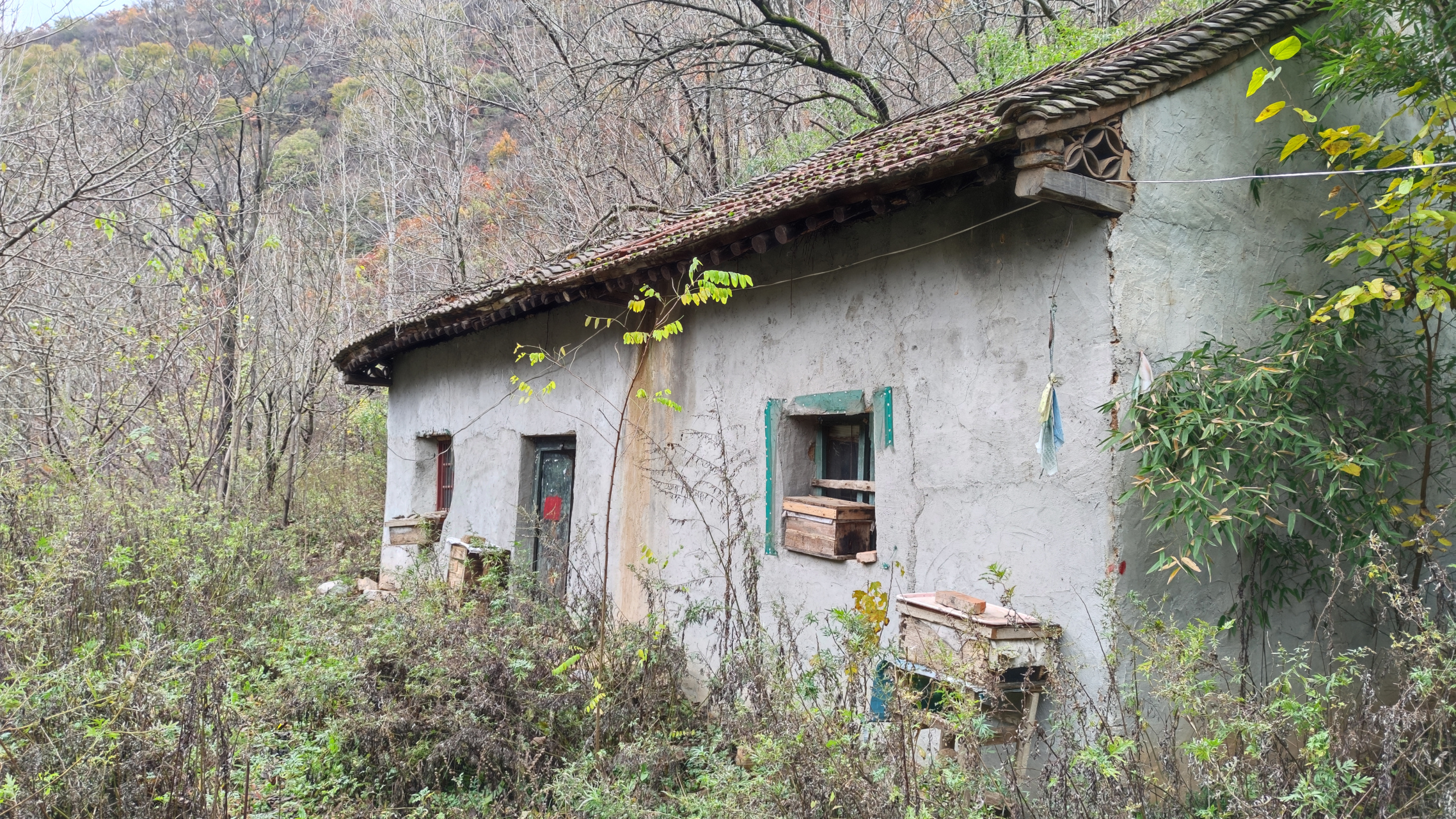 在终南山隐居修行住山过田园生活,是不是只能住山洞茅蓬土房子?