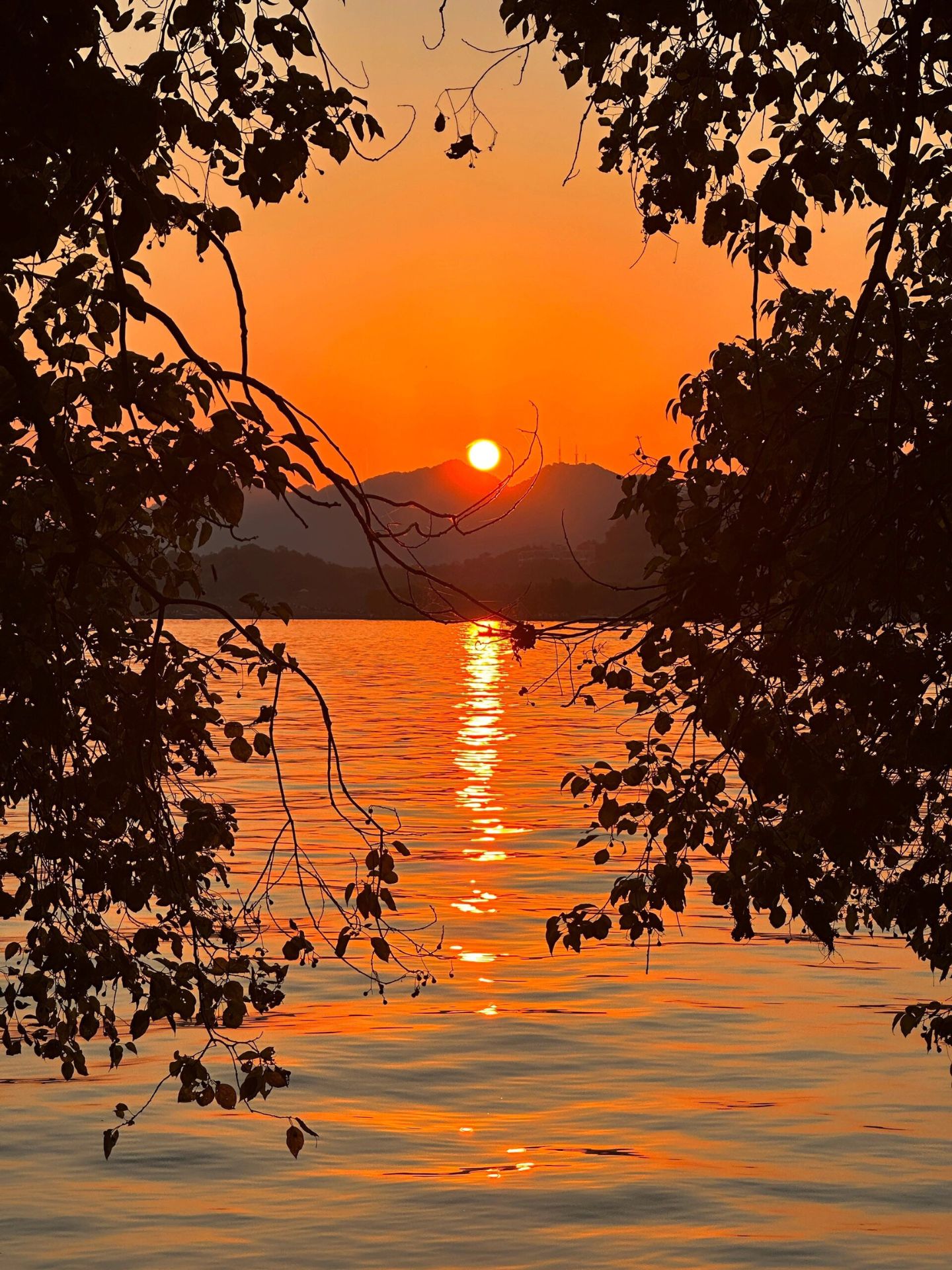 黄昏图片 夕阳余晖,染黄天际.@墨者离也的动态