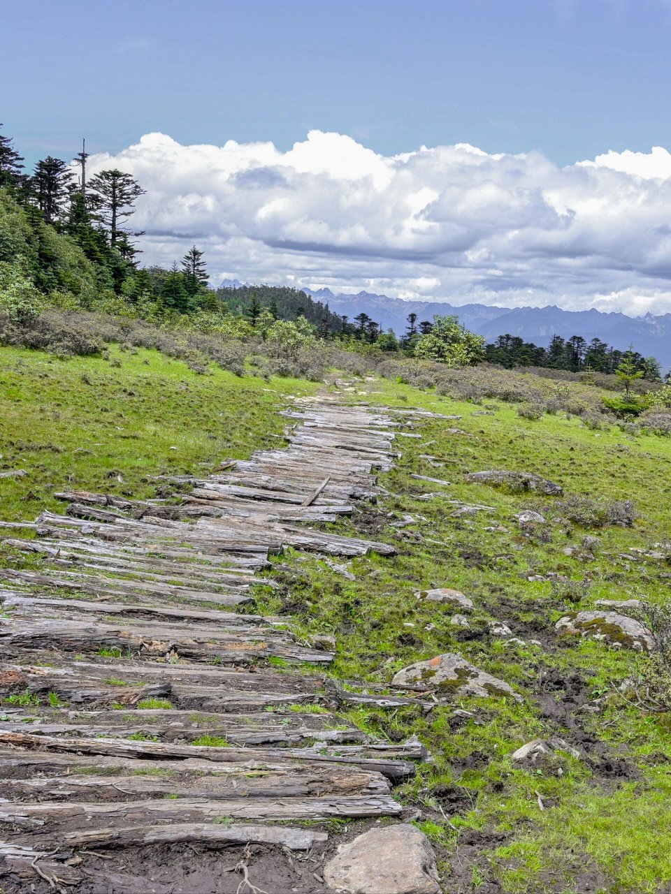 徒步云南|香格里拉小众秘境–千湖山  我一直对香格里拉的自然风光