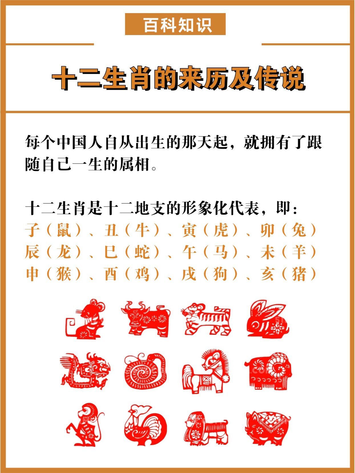 中国十二生肖,你真的懂吗?