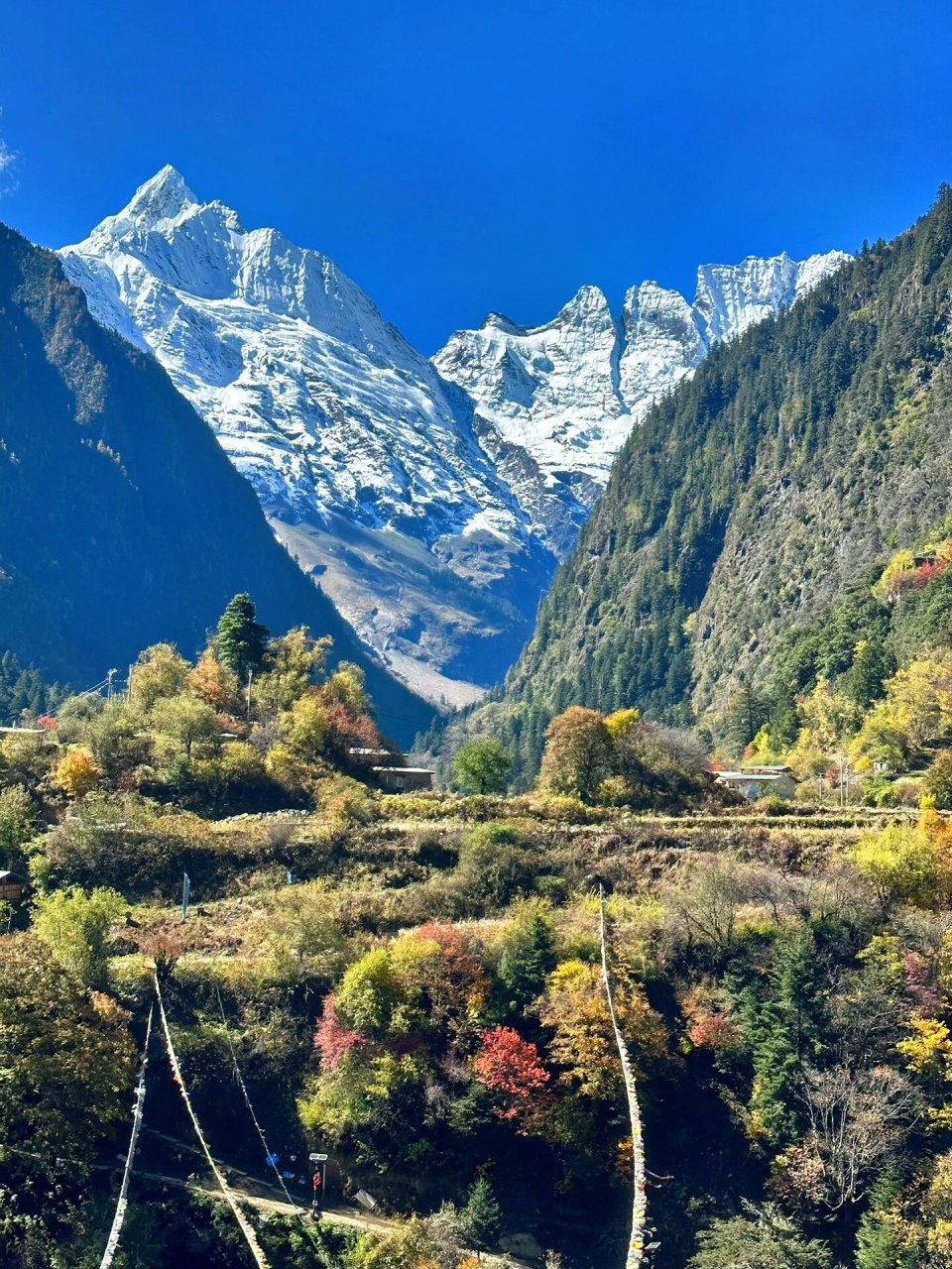 云南雨崩村婚姻风俗图片