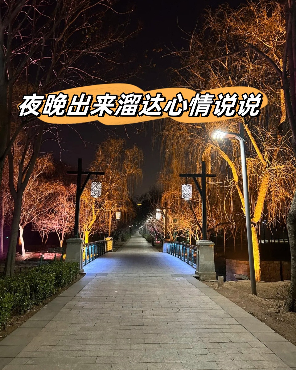 夜间说说配图图片