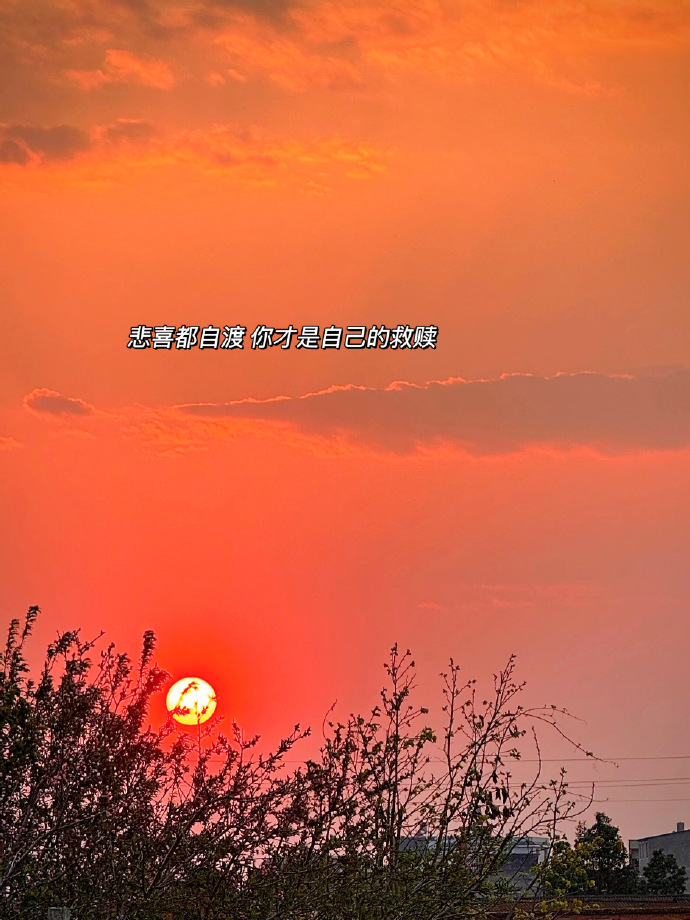 98 在人生的花园里,我选择做.@丫丫情感驿站的动态