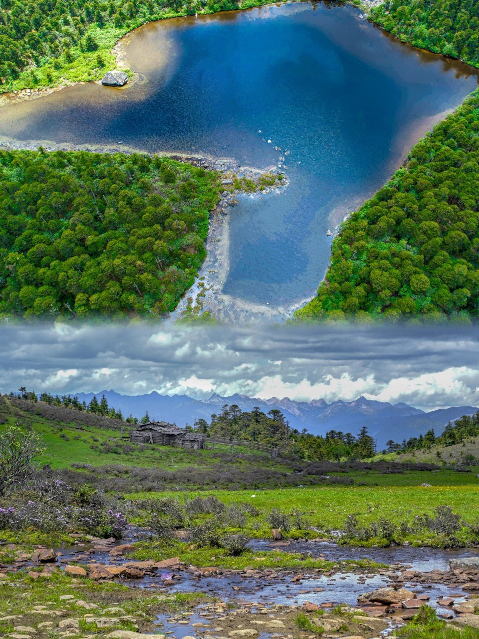 徒步云南|香格里拉小众秘境–千湖山  我一直对香格里拉的自然风光