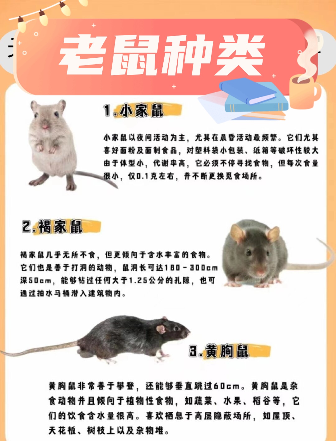 在世界各地,老鼠的种类繁多,其中一些常见的种类包括