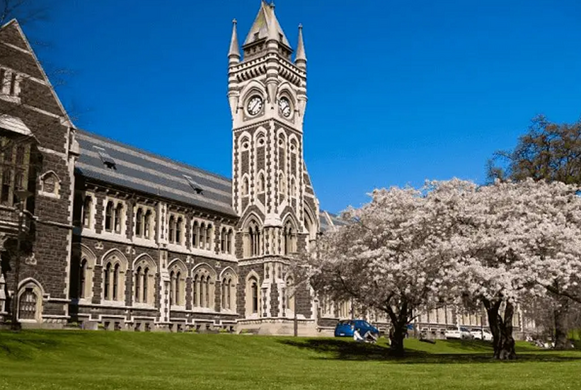 不列颠哥伦比亚大学经济学本科旨在培养对经济现象和问题的深刻理解及