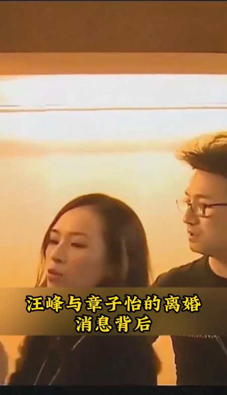 不止赌博深度剖析汪峰章子怡婚姻破裂多元诱因