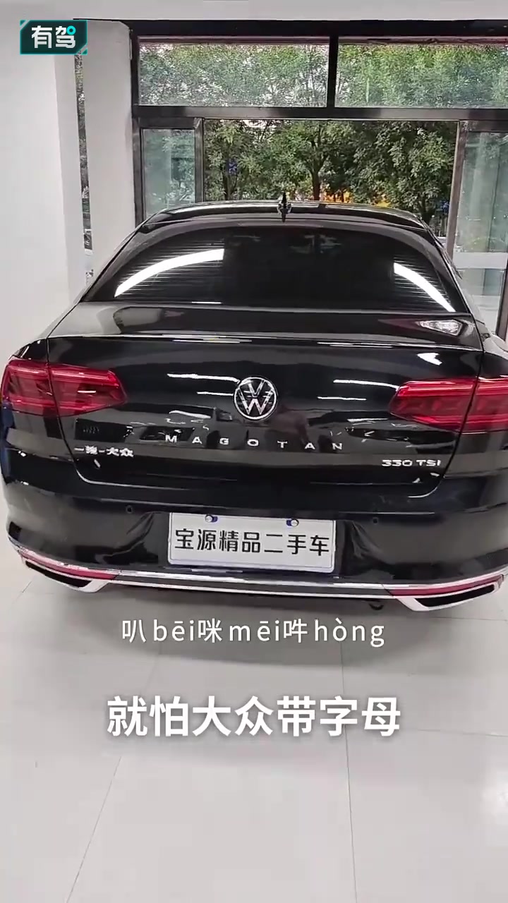 大众带字母什么车 图图片