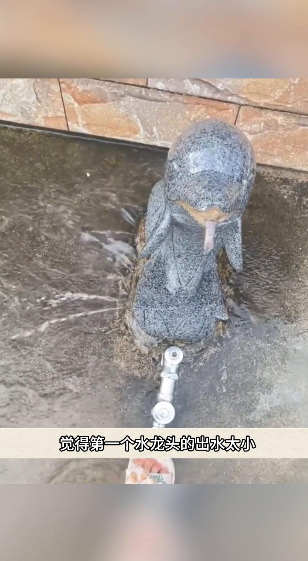 美女户外洗脚,没想到水龙头竟给了美女一个大礼!-度小视