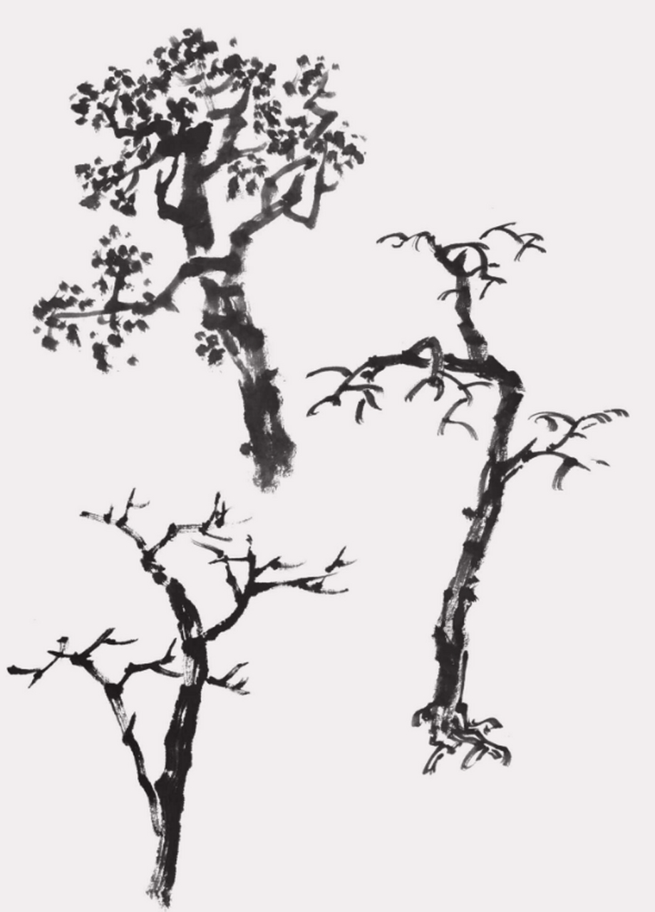 国画树干的画法步骤  画树干时要注意"树分四枝",即前,后,左,右四个