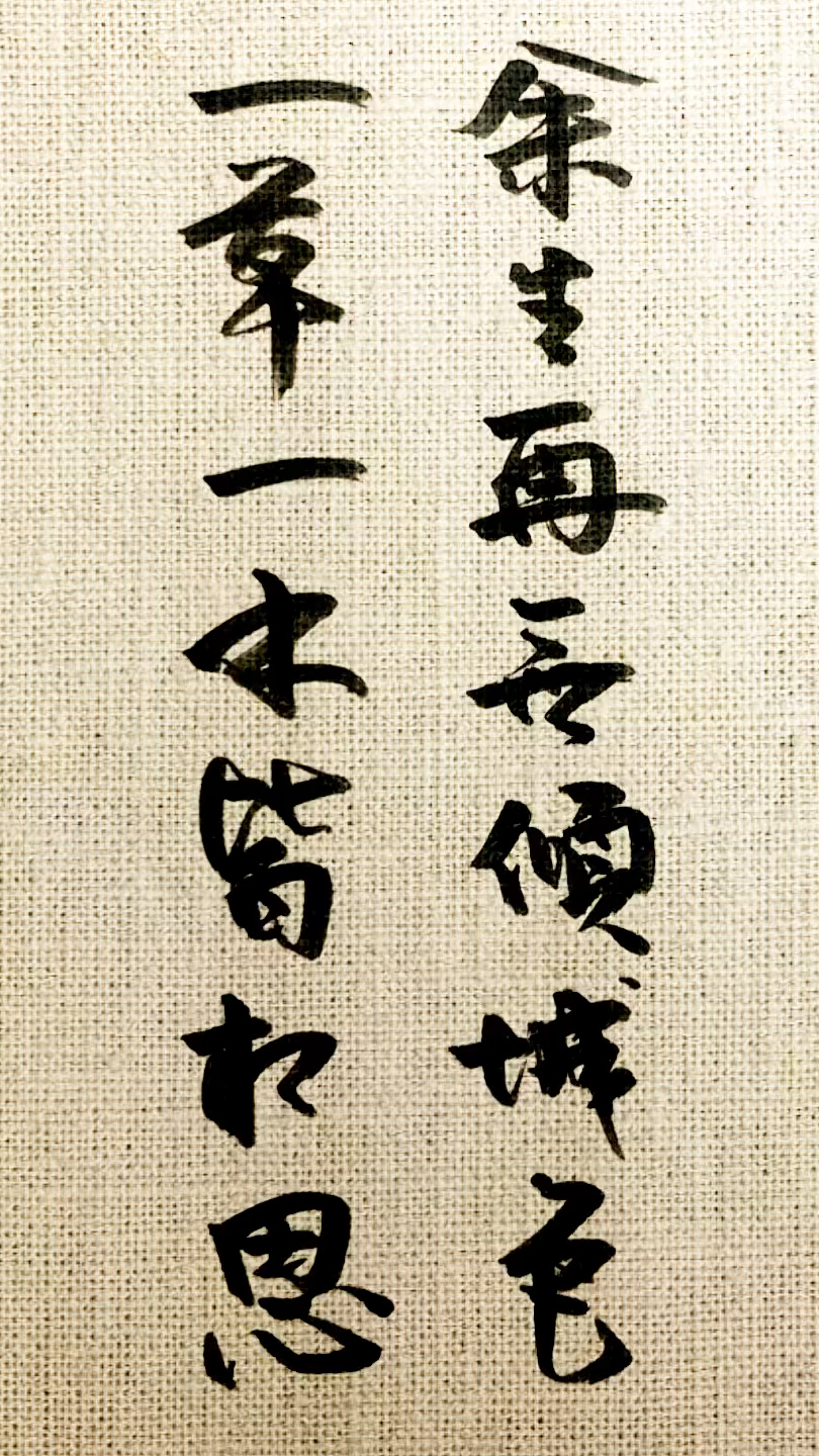 余生再无倾城色,一草一木皆相思-度小视