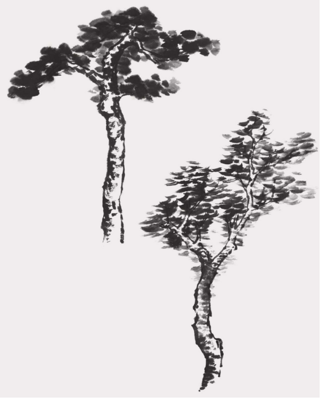 画树干时要注意"树分四枝",即前,后,左,右四个