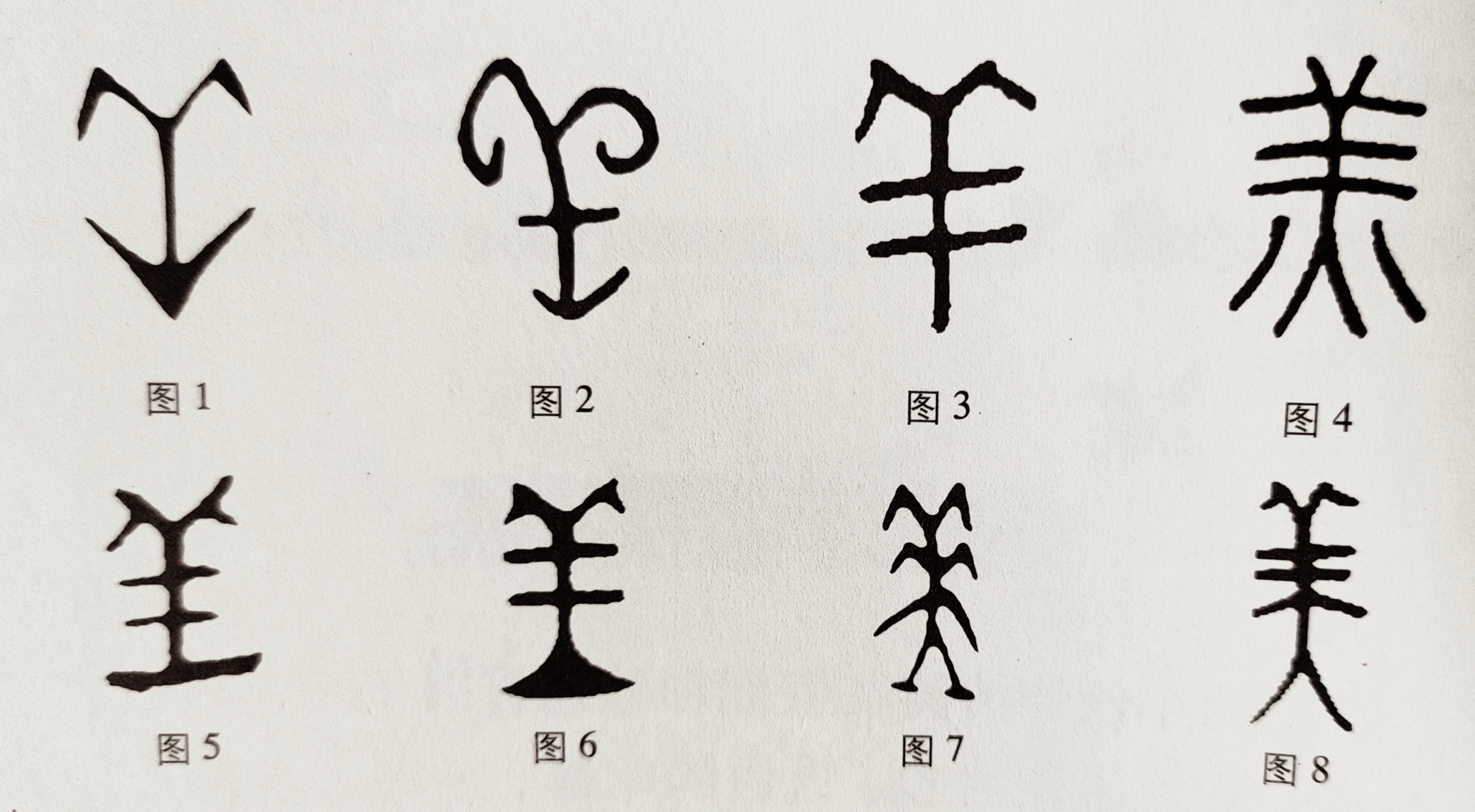 "羔","美"的由来,字形及含义