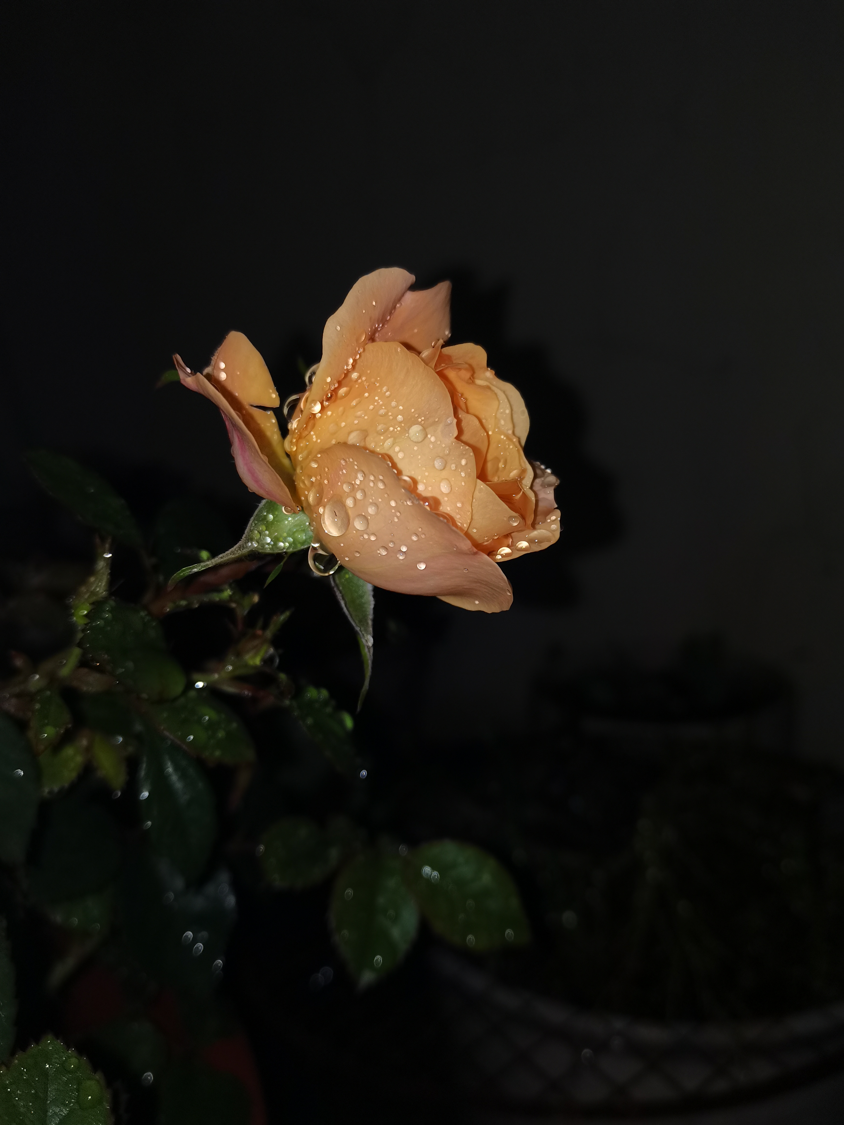 李雪坐在那里思绪万千