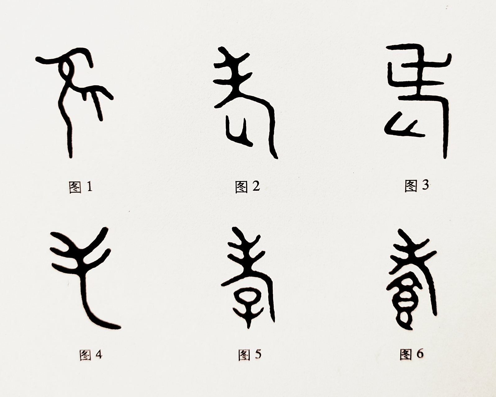 "老"字和"孝"字的构成及会意