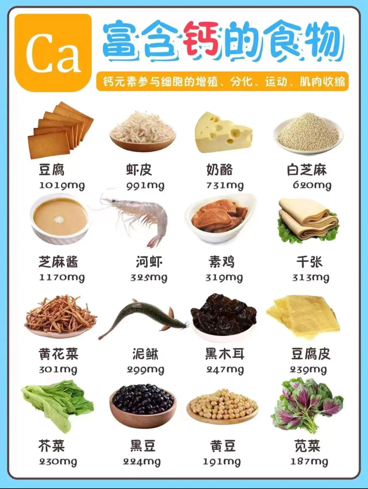 人体每日食物营养表图图片