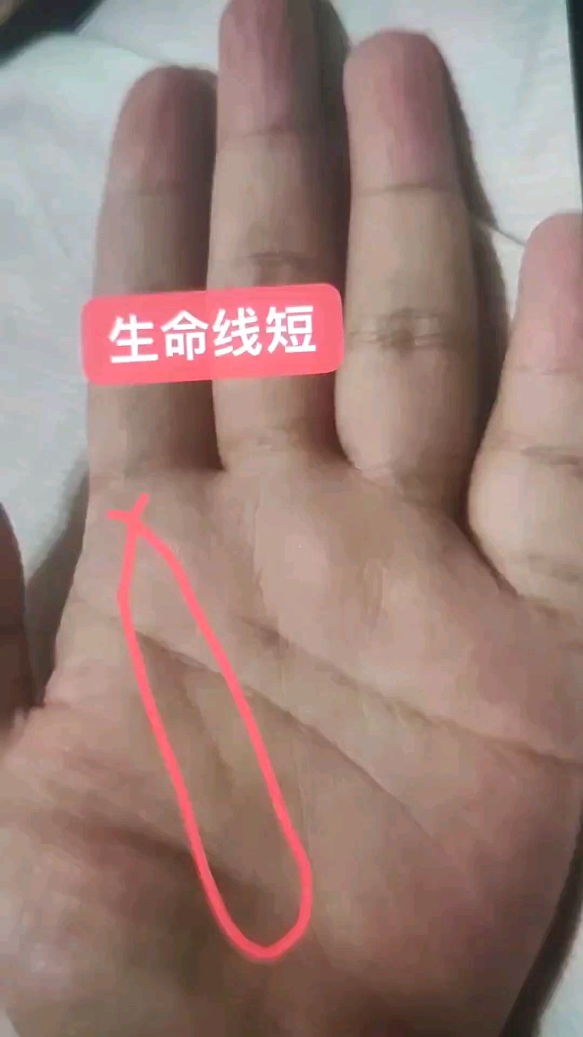 生命线短就一定很差吗