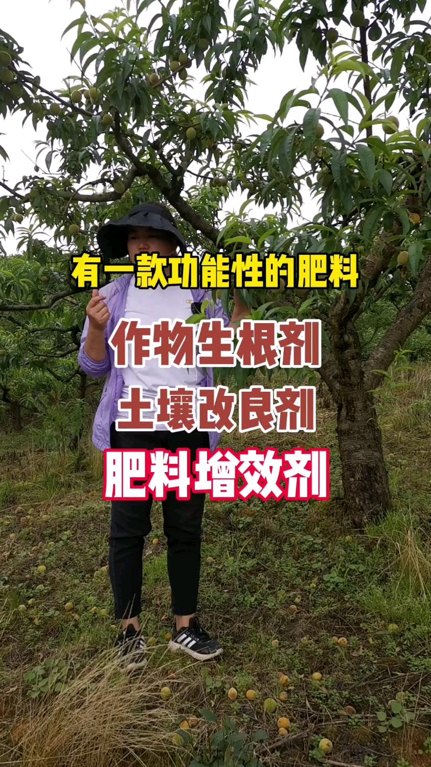 土壤板结怎么弄松?矿源黄腐酸钾的作用和功效