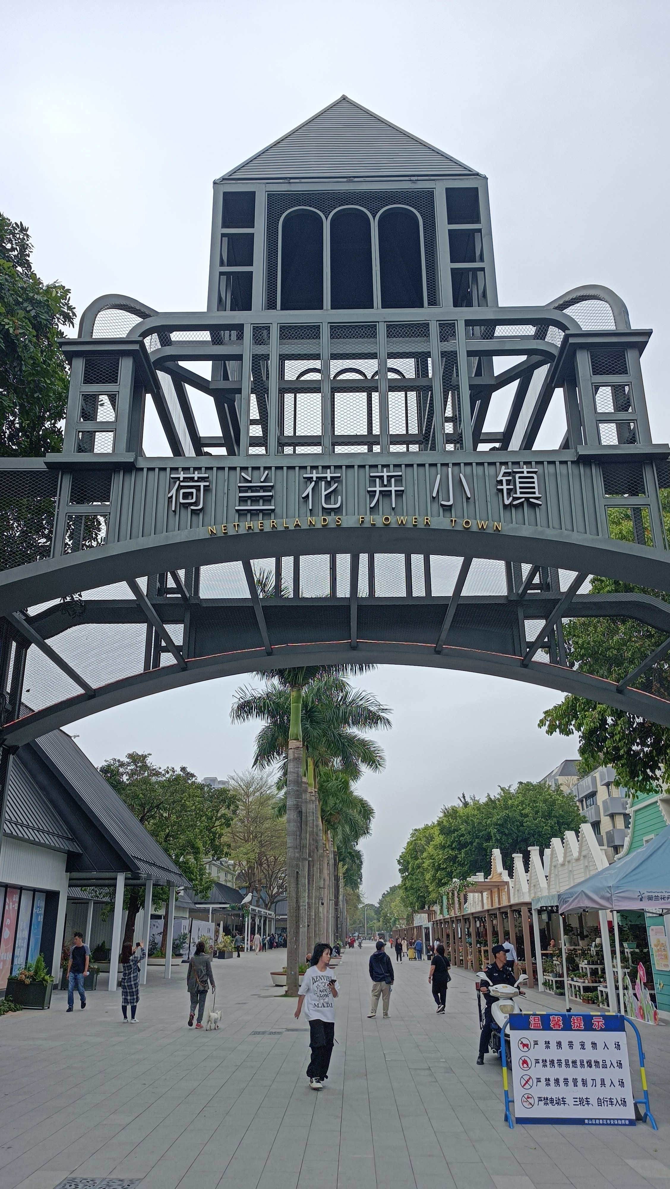 位于深圳市南山区,荷兰花卉小镇以其独特的魅力成为了深圳花卉文化