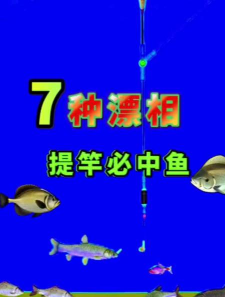 记住这七种漂相告别空军提竿必中鱼