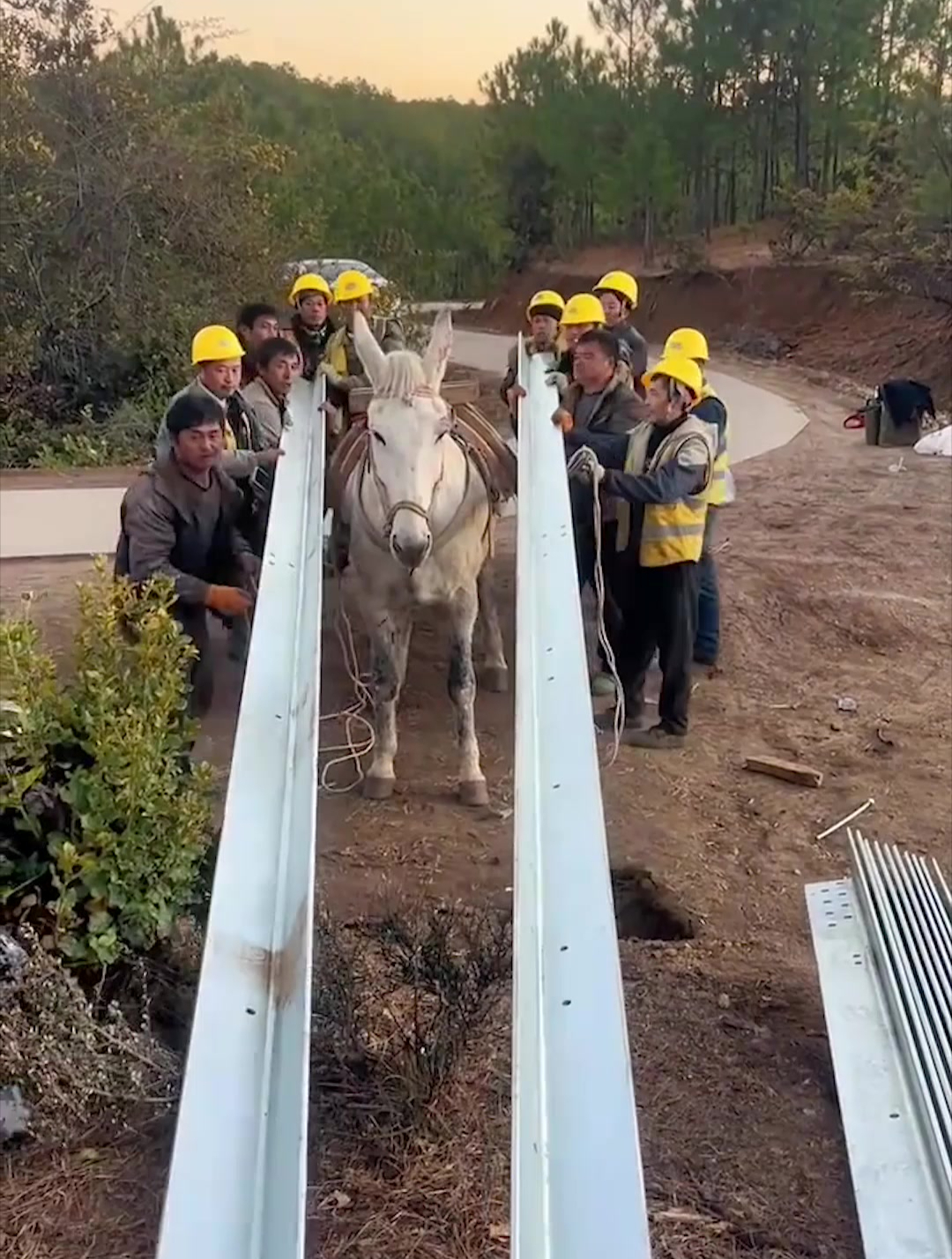 山上车上不去,只能用马帮运输!电力施工