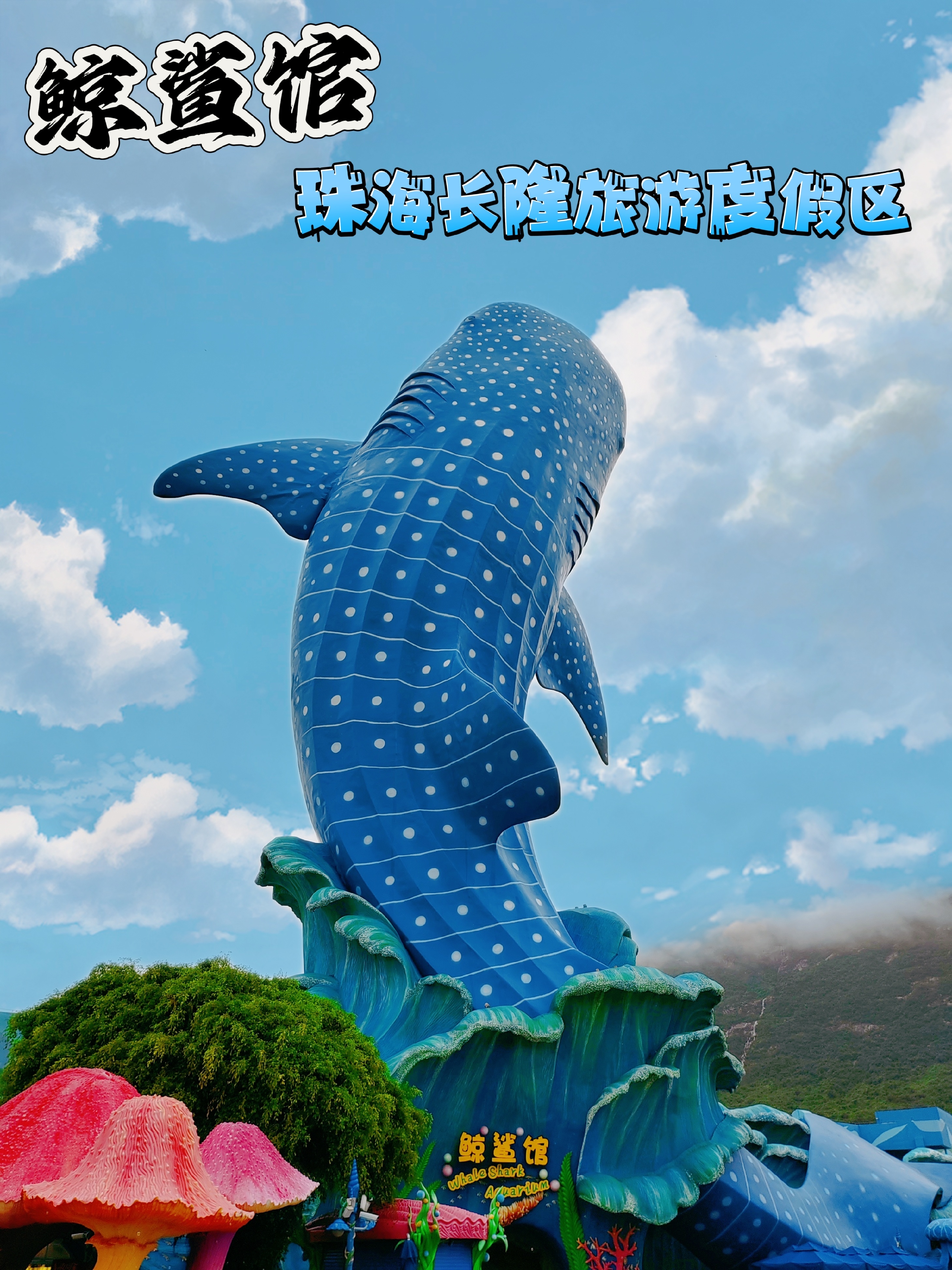 珠海鲸鲨馆:亲子共赏的海洋奇观   探索鲸鲨馆的奇幻世界  珠海鲸鲨馆