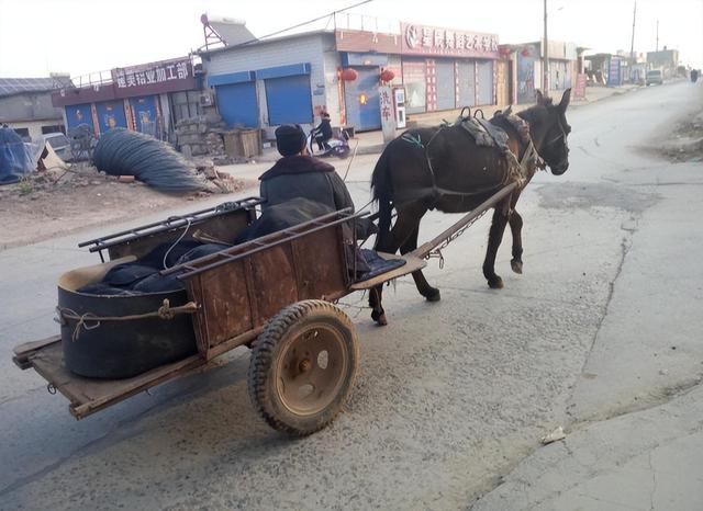 回顾:献给渐渐老去的50后,60后,都看看吧,满满都是回忆