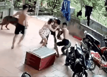 回顾越南男子被巨蟒咬住不松口后来怎么解决的