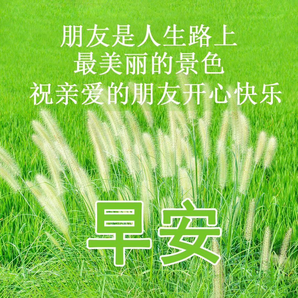 精彩无限的早安心语唯美句子