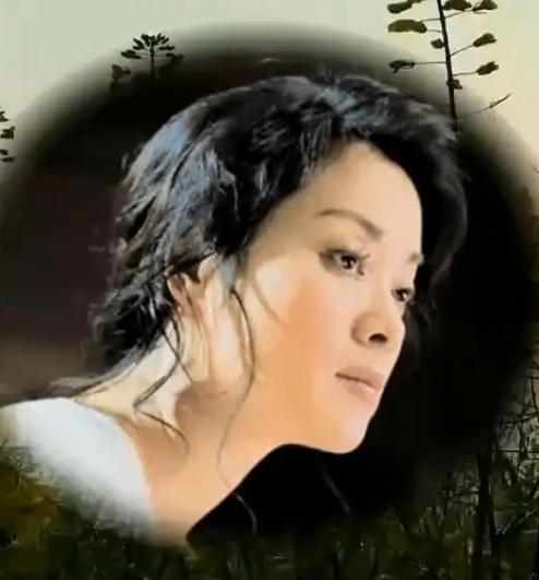 直到遇见解直锟,她主动追爱与他组建家庭,开启幸福美满的生活.