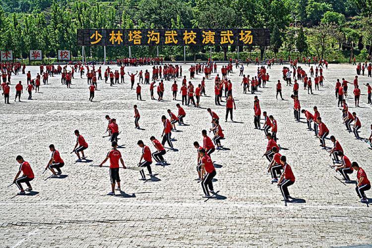 回顾女孩苦练20年武术上倒闭5所武校从田间地头打到央视
