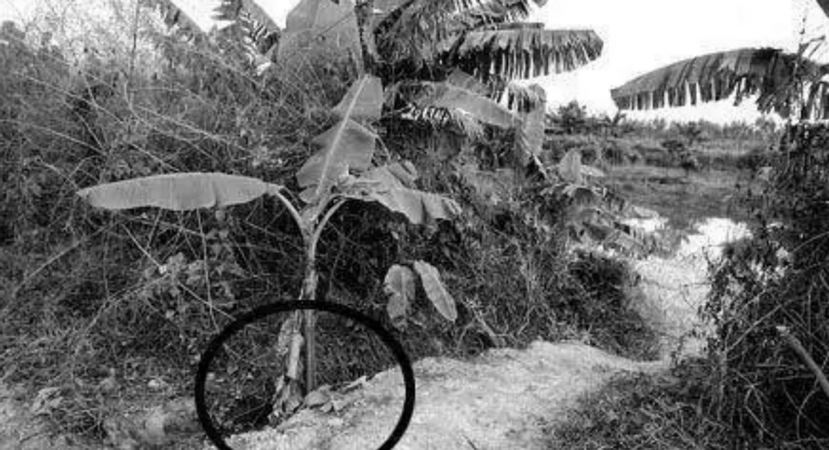 1993年17名司机离奇失踪竟与6名少女有关警方调查发现不简单