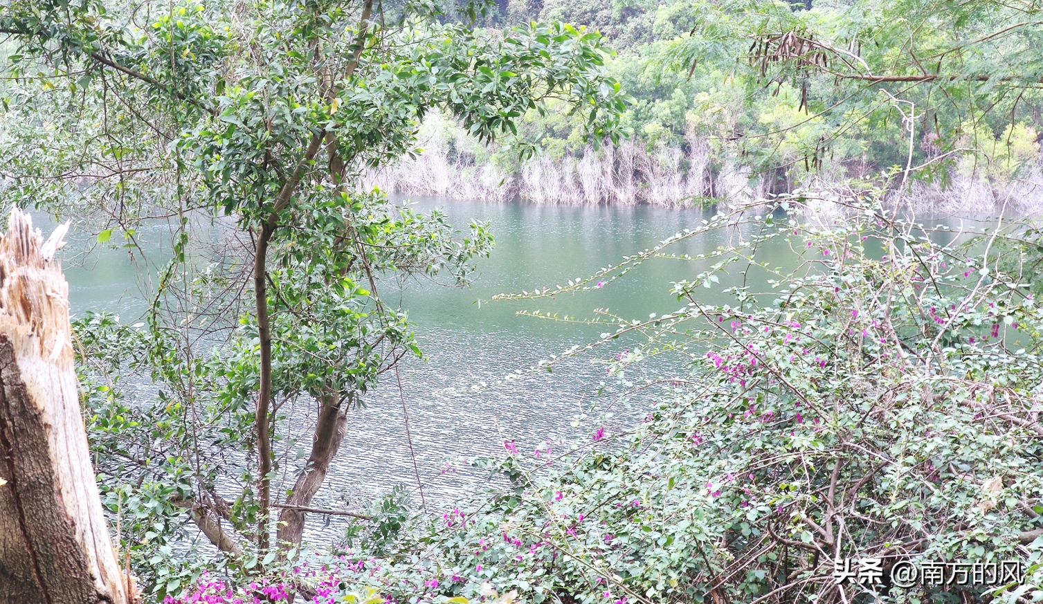 值得收藏徒步探寻鲲鹏径一号桥攻略梅林山生态连廊