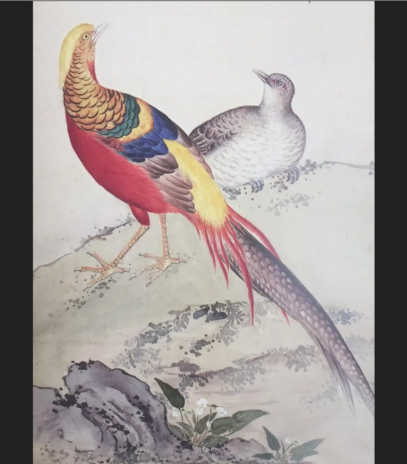 郭存锁的妻子第一个站出来说:"去就去,我倒是要看看,是什么鸟给你迷得