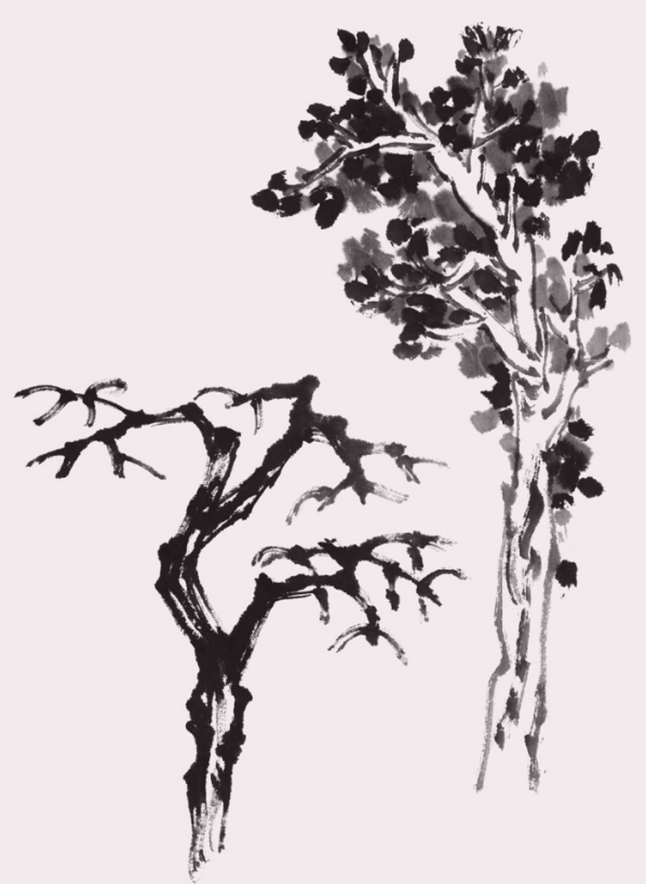 画树干时要注意"树分四枝",即前,后,左,右四个