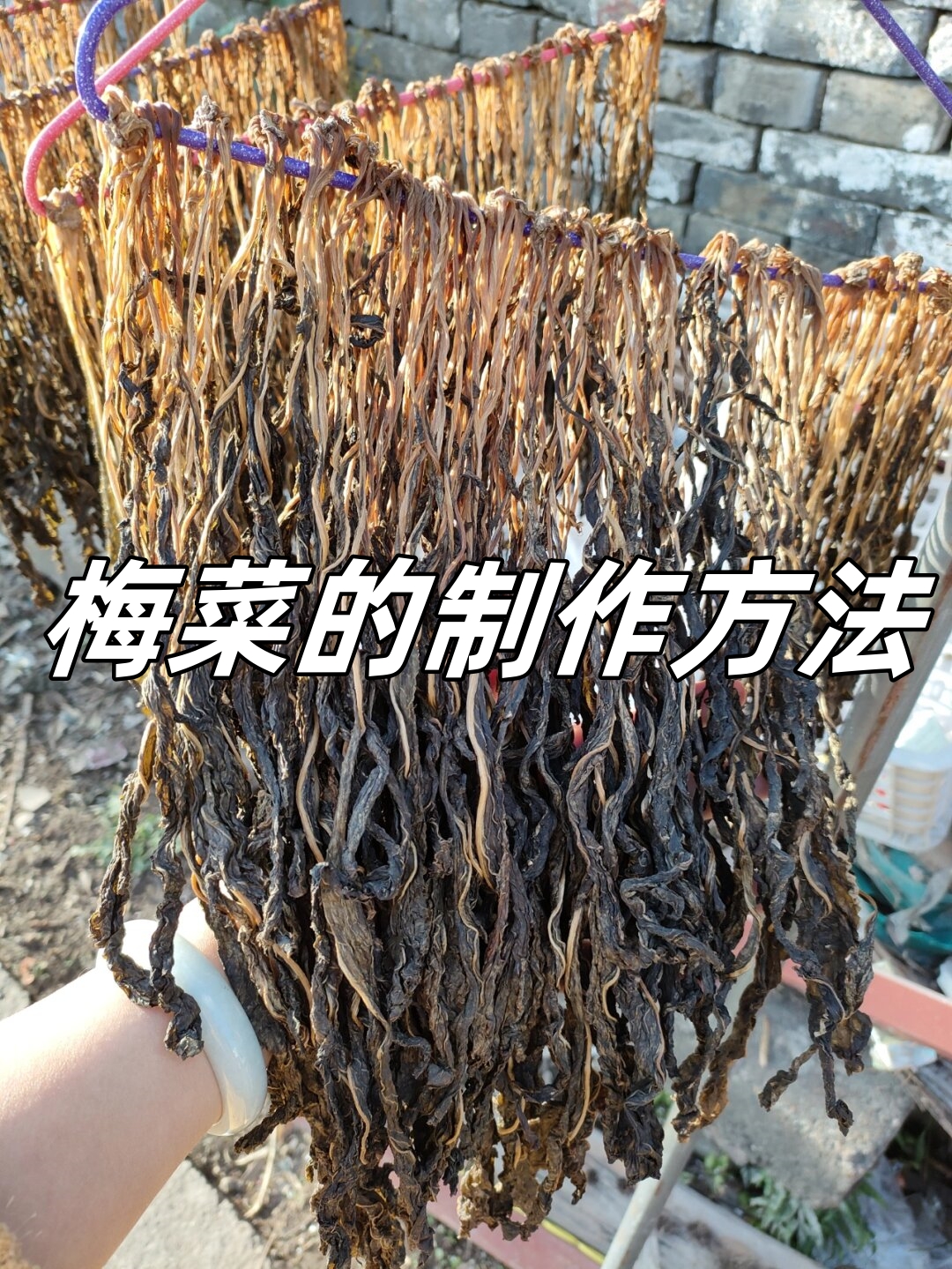 经过近一个星期的忙碌,我终于成功制作了传统风味的梅干菜!