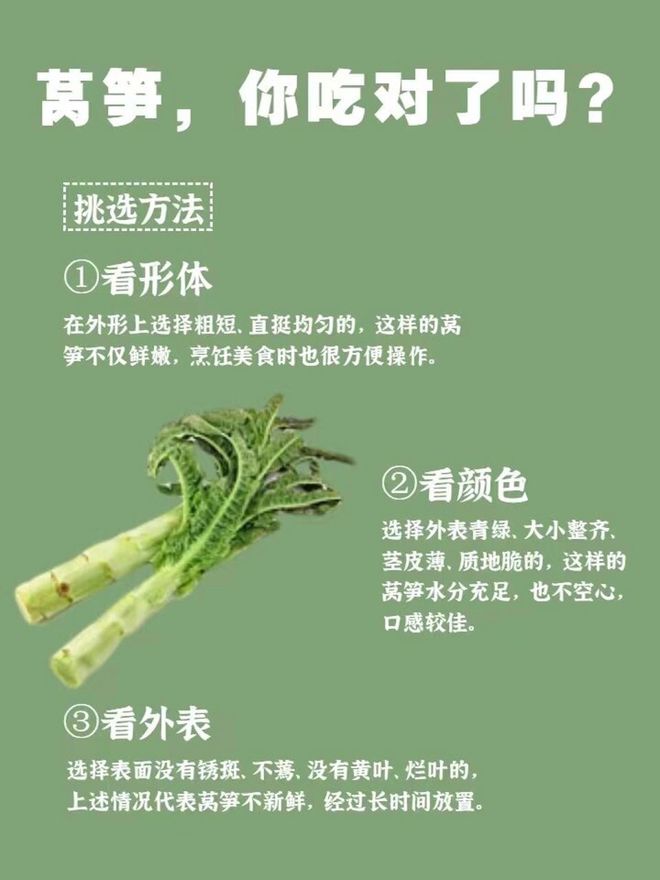 莴苣 功效图片