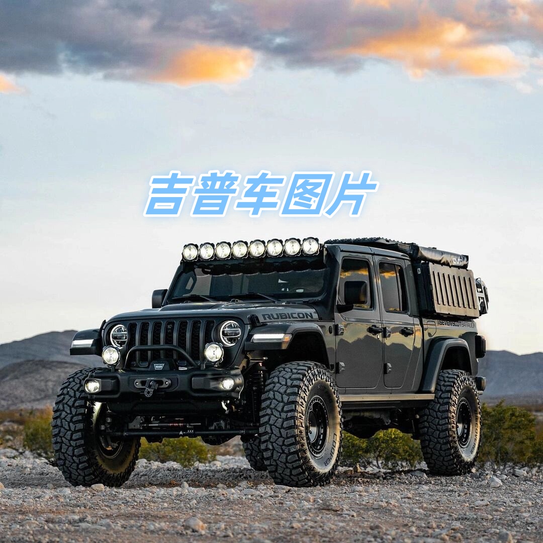 越野车,驰骋在广袤的大地上,每一次加速都是对自由的追求